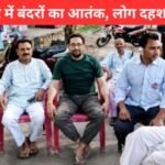 Modinagar Monkey Attack