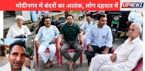 Modinagar Monkey Attack